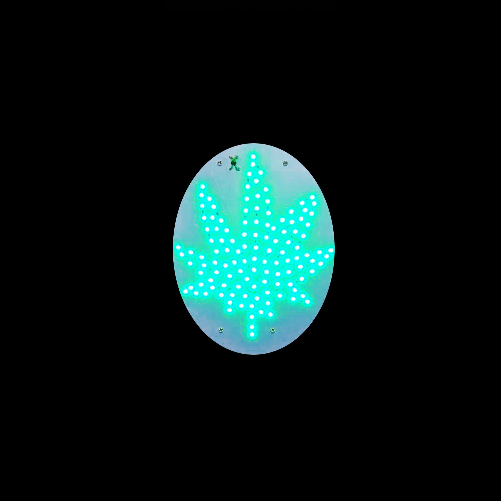 LED BIS LEAF GREEN SIGN  L15 x H15 in